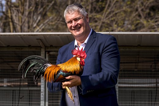 Michael Holmes pictured at his Wangaratta property with his prize brown leghorn rooster.
