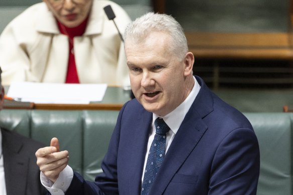 Arts minister Tony Burke