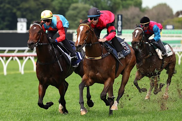 Ka Ying Rising, left, is edged out by Ninja in Tuesday’s trial.