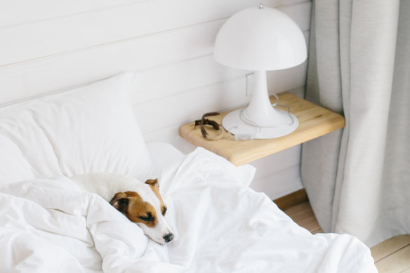 Increasingly, medicine is recognising the bond between pets and people as a powerful weapon in fighting disease and treating chronic conditions.