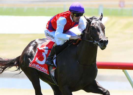 Artorius, ridden by Mark Zahra, wins  in style at Sandown on Saturday.