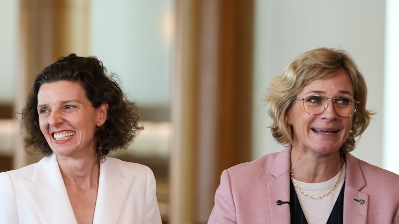 Spender and Steggal launch teal party for ‘the politically homeless'