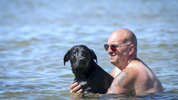 Dean Edgell and his dog Daisy cool off at Port Melbourne beach on Saturday.