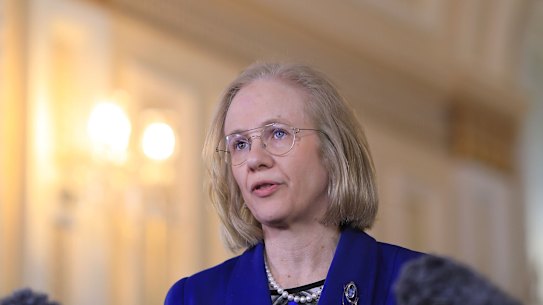 Dr Young has also urged those already in Victoria or NSW to 'consider coming home'.