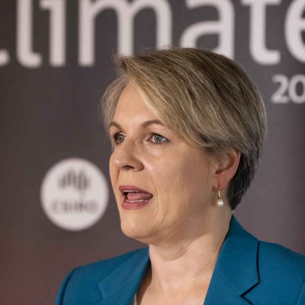 Minister for the Environment and Water Tanya Plibersek.