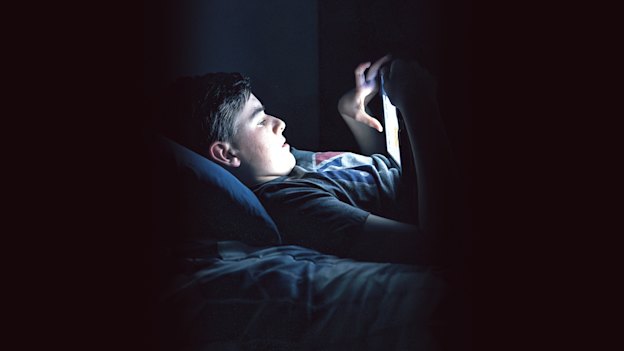 The internet came of age in 2014 – and transformed what we do in the bedroom. Can a new national ban on porn fix what the internet broke?