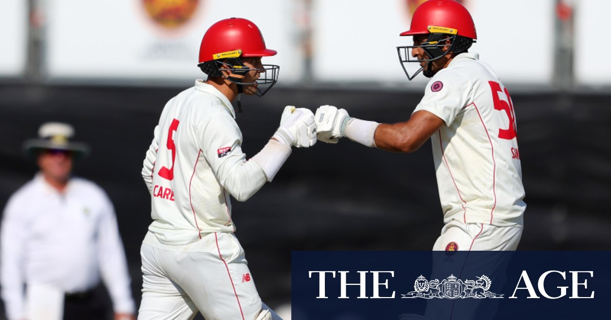 Wild scenes as South Australia end 29-year wait for Sheffield Shield title