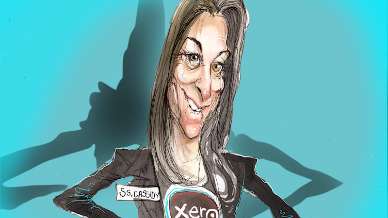 Problem with Xero chief's pay push? CEO pay's been static for 10 years