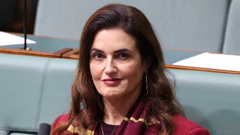 AEC investigation into Labor MP urged to probe new claims (australia) — Brisbane Times