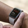 ‘Not how a company should behave’: Apple blasted over smartwatch trade secrets