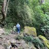 I took a Perth kid to the Queensland rainforest. Was I doing something wrong?