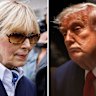 E. Jean Carroll / Donald Trump