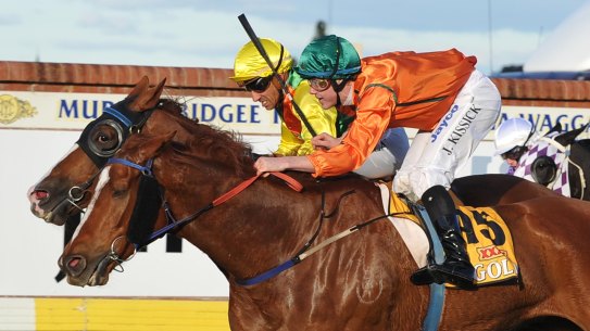 Racing returns to Wagga on Sunday with an eight-card for Murrumbidgee Cup day.