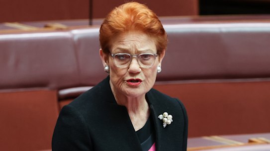 One Nation leader Pauline Hanson in the Senate.