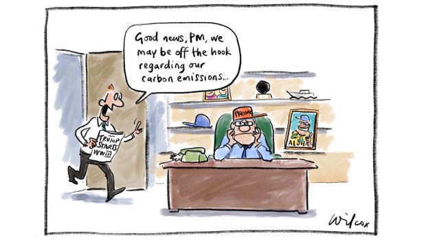 Illustration: Cathy Wilcox