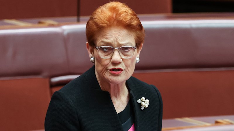 Pauline Hanson deletes post as One Nation migration numbers dispute continues