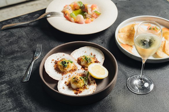 Scallops with garlic butter. 