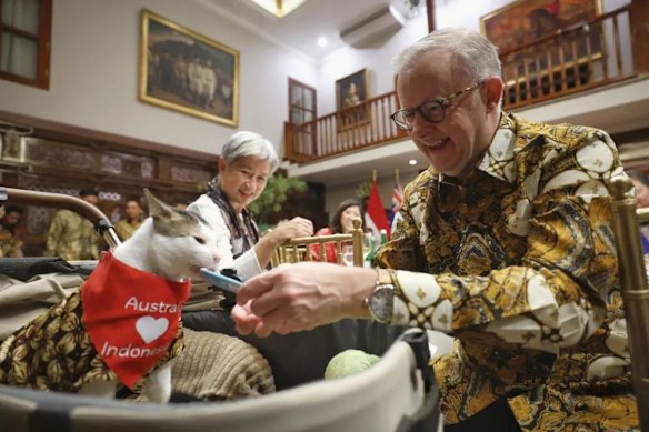 Nosso primeiro-ministro alimenta à mão o gato cacheado do presidente Prabowo, Bobby.