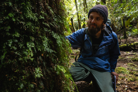 Researcher Dr Charley Gros in Tasmania’s Takanya wilderness. “In Europe, we don’t have forests like this any more.”