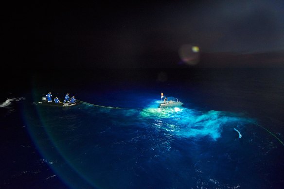 Between April 28 and May 5, 2019, the Limiting Factor completed four dives to the bottom of Challenger Deep. 
