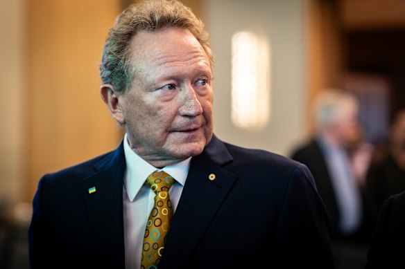 Mindaroo founder Andrew Forrest.