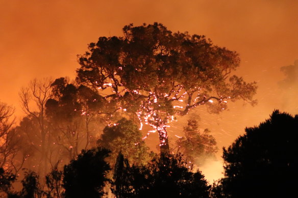 A bushfire is raging in Perth’s north, across the City of Wanneroo and Swan. 