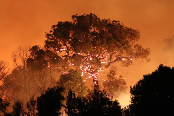 A bushfire is continuing to burn in Perth’s north, across the City of Wanneroo and Swan.