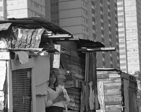 Colleen Sauvarin, 13, with her pet rabbit at The Cubbies, in the shadow of Fitzroy’s tower blocks.