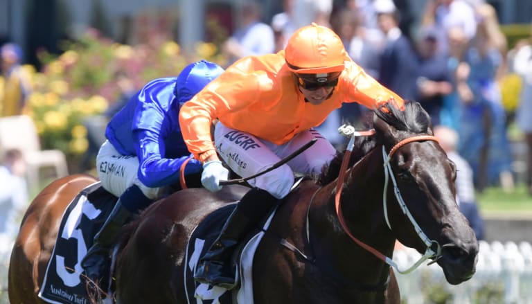 Orange glow:  Kapajack wins on debut with Andrew Adkins aboard at Rosehill.