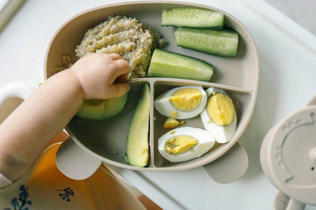 Egg allergies in kids