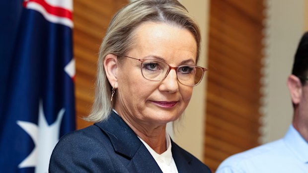 Liberal leader Sussan Ley.