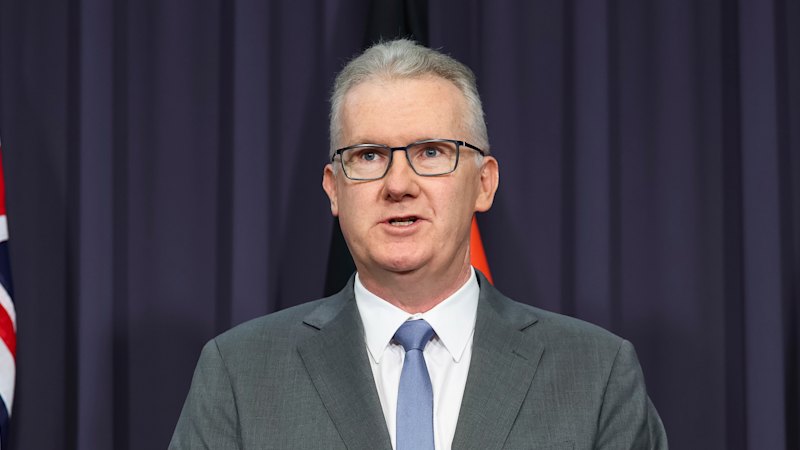 Two more granted protection in Australia after dramatic airport scenes