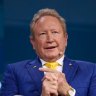 Twiggy Forrest’s Wyloo gains control of Mincor in critical mineral race