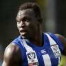 North Melbourne's VFL program abandoned after just two seasons