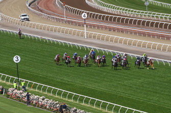 Changes have been made to the safety measures imposed on international horses wishing to compete in the Melbourne Cup.