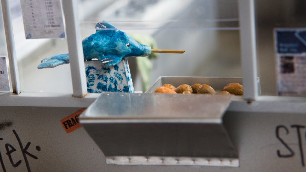 Miniature dolphin jam dispenser and doughnuts in the Olympic Doughnuts model. 