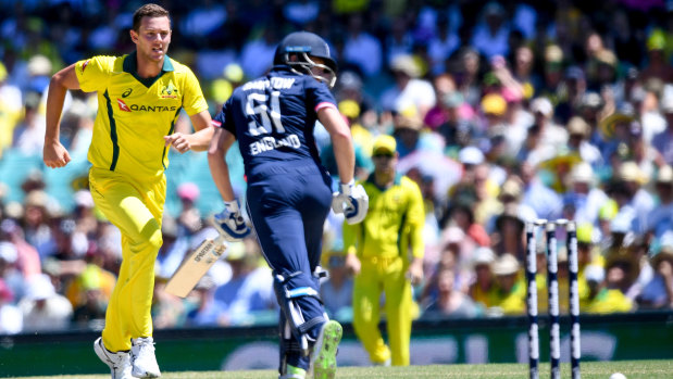 Selectors say Hazlewood has not played enough to make the World Cup squad.