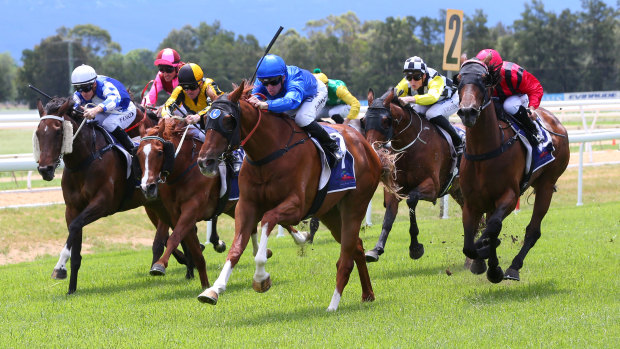 Eight races are scheduled for Hawkesbury today.