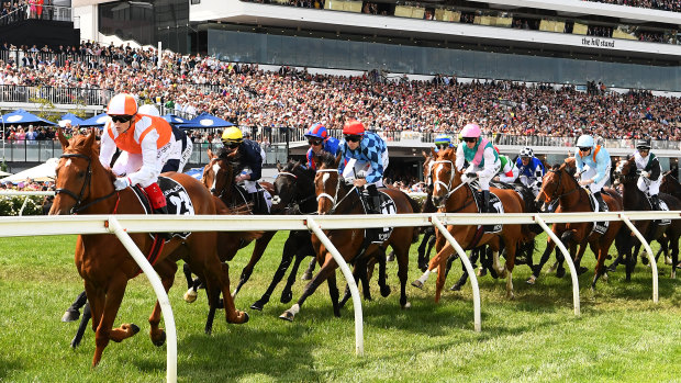 Best ride wins ... Craig Williams leads the Melbourne Cup field out of the straight for the first time.