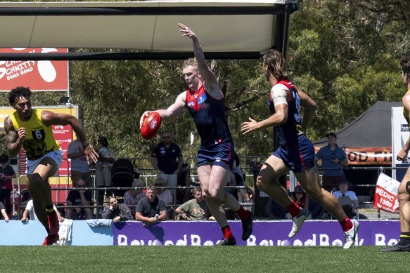 Melbourne playing a simulation match at Casey Fields in Cranbourne East this month. The club hopes to shift all operations to Caulfield.