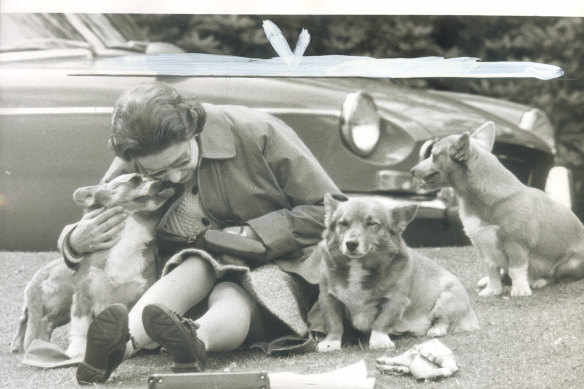 The Queen cuddling her corgis at the Windsor Horse Show in 1973.