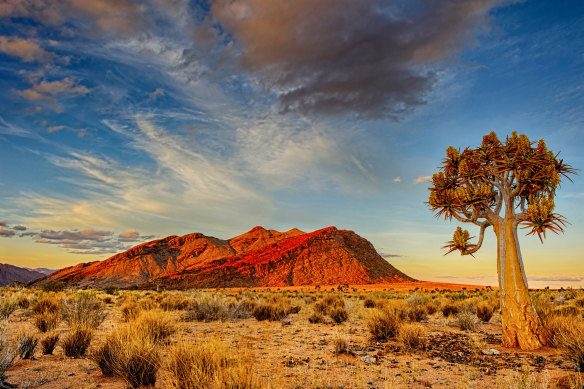 Trees protect us from extreme heat, help clean our air, store carbon, slow down rainwater, provide habitat for wildlife and generally make our world a better place to live.