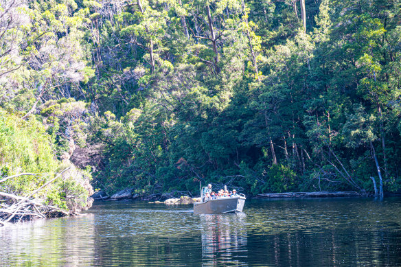 Exploring the Davey River Gorge.