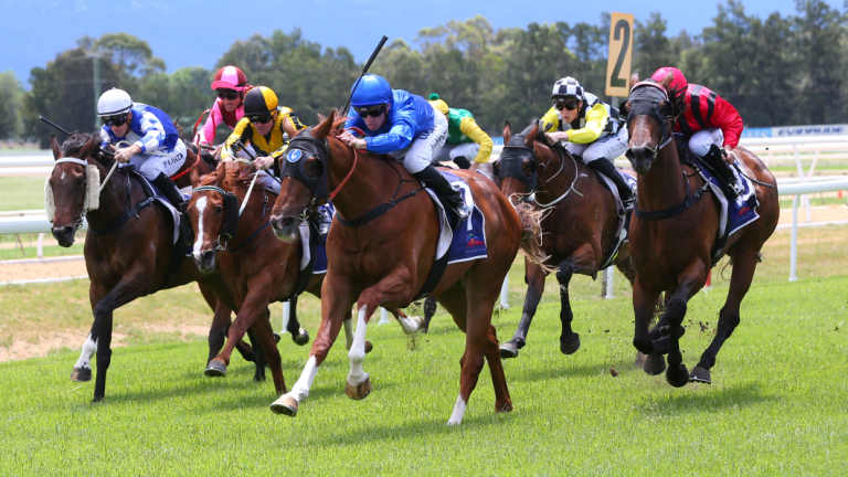 Eight races are scheduled for Hawkesbury today.