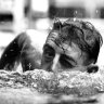Glamorous Australian Olympic swimmer became Greta Garbo’s instructor