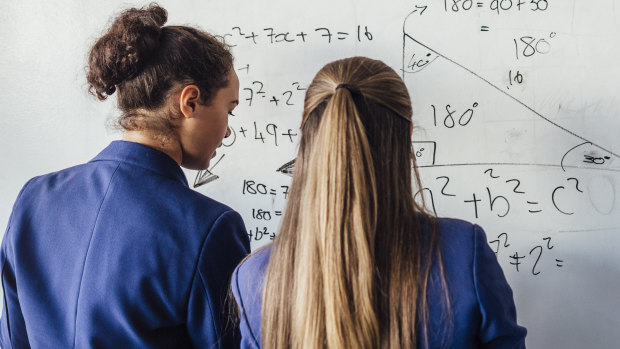 The co-ed school where year 7s will have single-sex maths and science classes