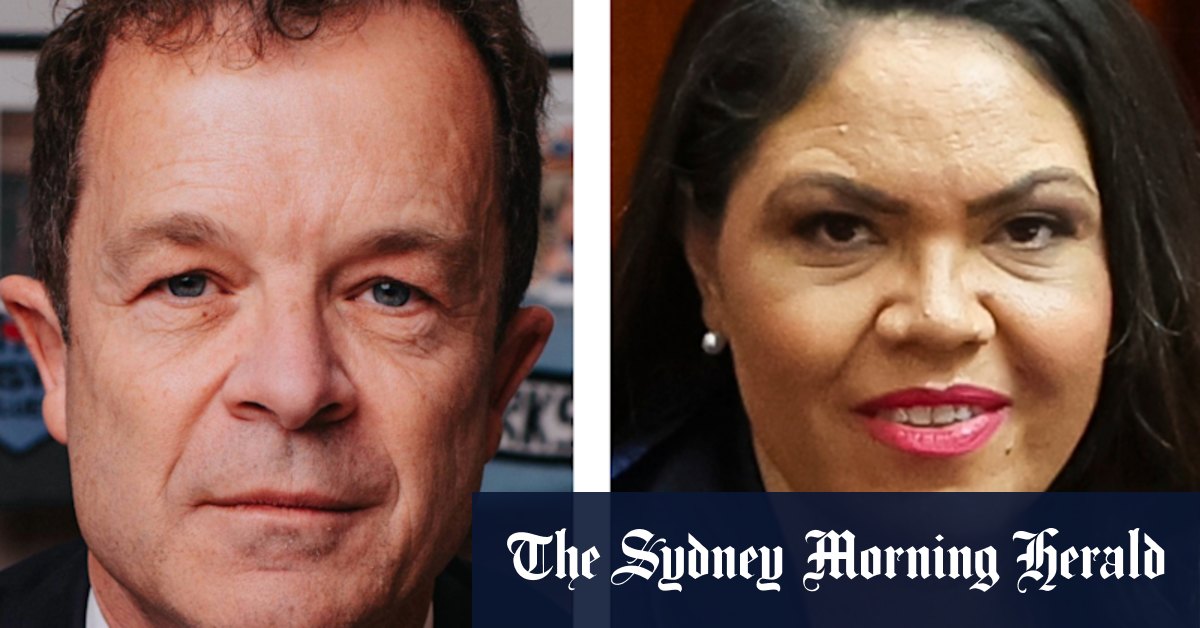 ‘Deep hurt’: NSW Coalition apologises to Indian community after Price’s comments