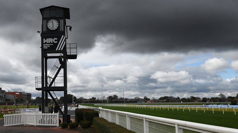 The report into the Caulfield Cup horse death has been released, but we need more information