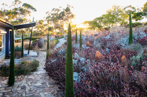 The wild effects Kurt Wilkinson has created in his Adelaide Hills garden are entirely singular 