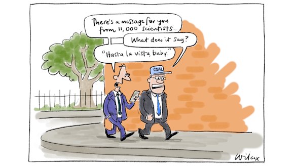 Illustration: Cathy Wilcox